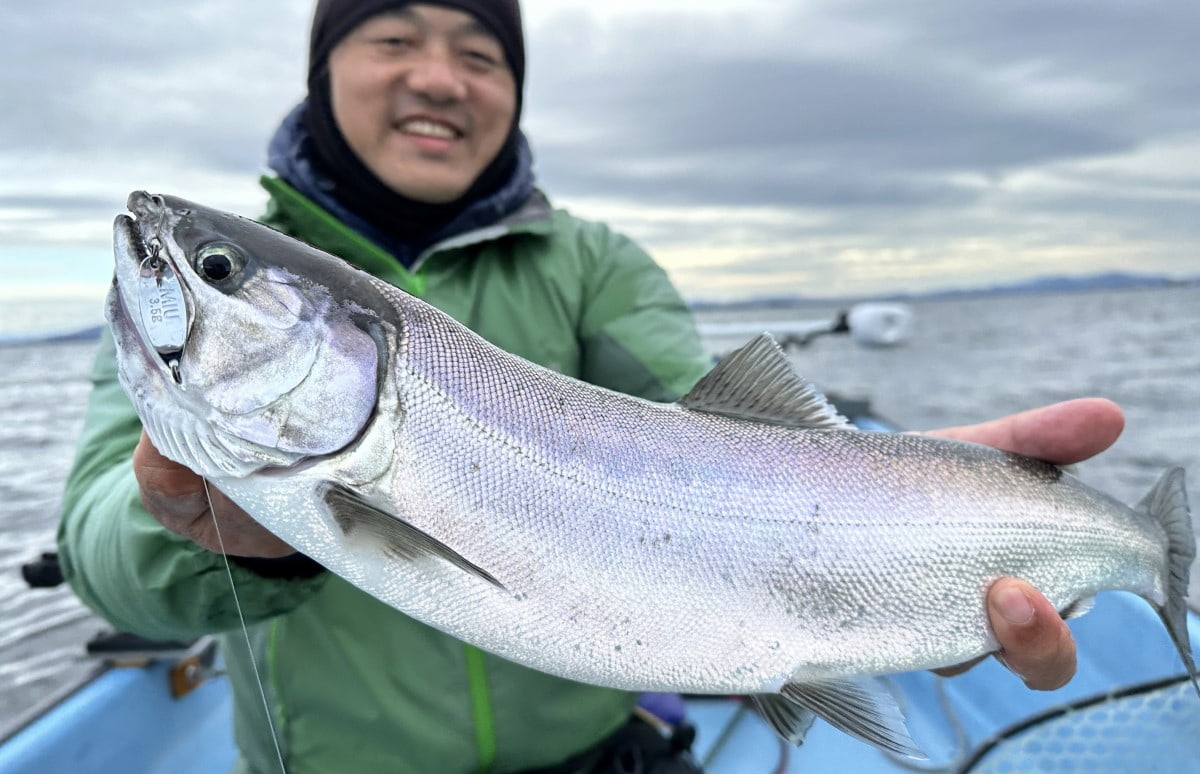 【ビワマス釣り】なぜ今になって突然人気が爆発したのか？【琵琶湖の宝石】 画像ギャラリー | 釣りビジョン マガジン | 釣りビジョン