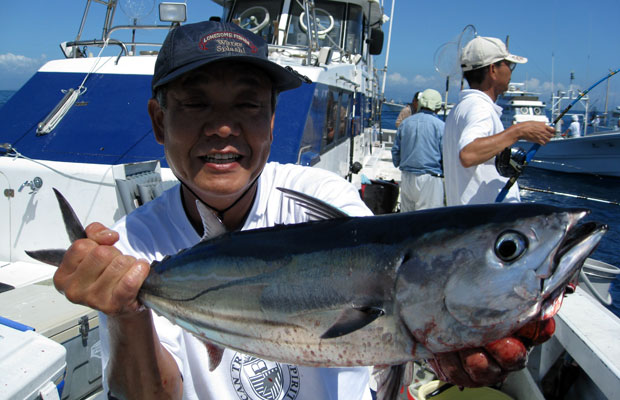 西伊豆沖に本ガツオ キメジが大回遊 オフショアマガジン 釣りビジョン 西伊豆沖に本ガツオ キメジが大回遊 オフショアマガジン 釣りビジョン