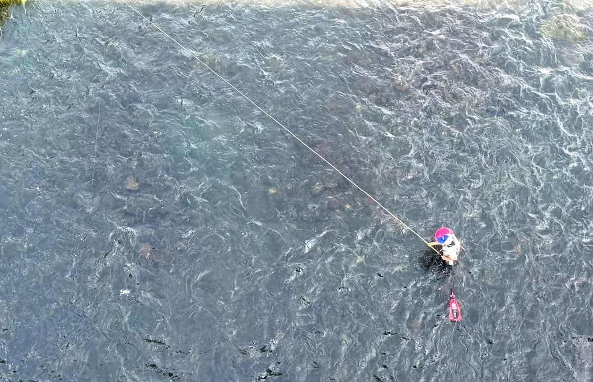 天然遡上の一級河川】2桁釣果も期待できるぞ 相模川！ | 釣りビジョン