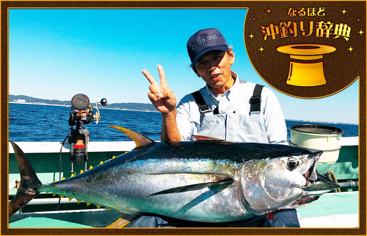 なるほど 沖釣り辞典】相模湾のコマセキハダ 50kgオーバーの