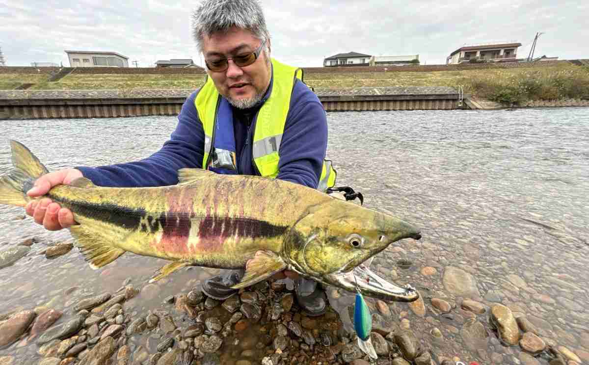 ディープクランクで日本のサケが釣れるのか？試してみた！【新潟県