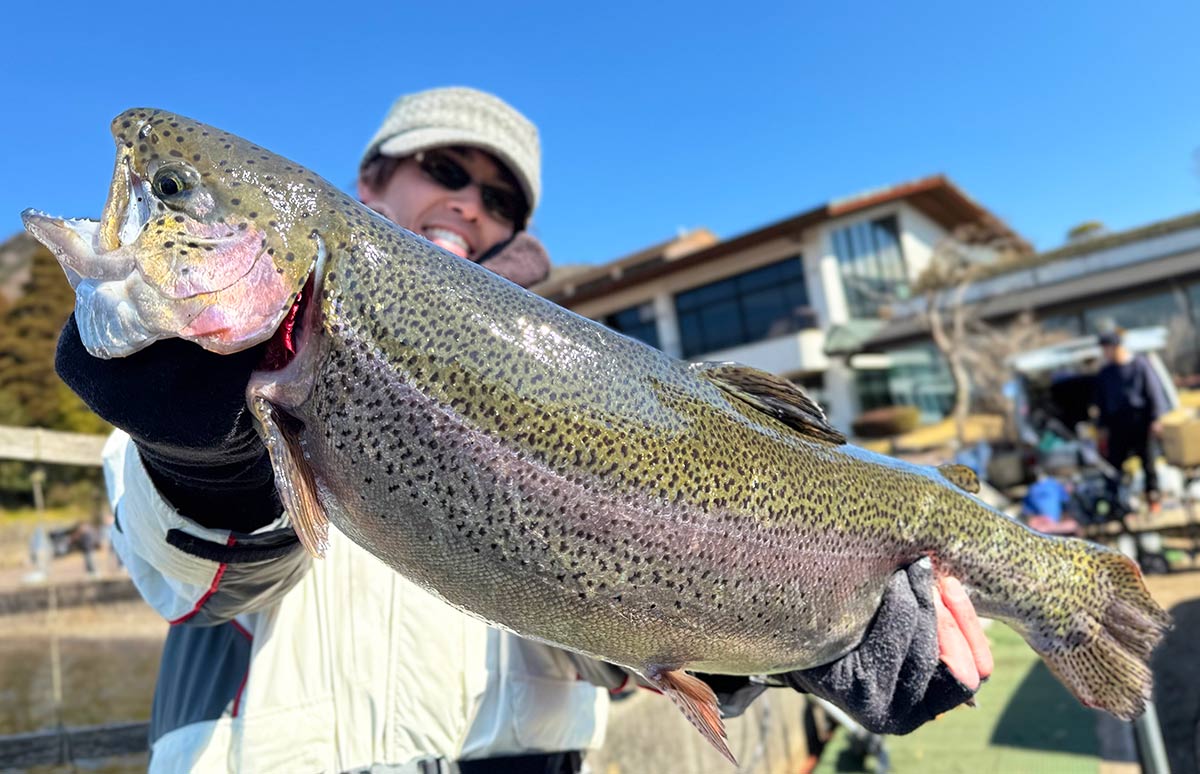 魚 剥製 ブラウントラウト ❗芦ノ湖 ブラウントラウト剥製【フィッシュクラフトマツモト】