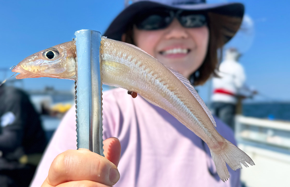【東京湾シロギス】横浜本牧発!竿頭132匹と高位安定!神奈川県横浜本牧港『長崎屋』 画像ギャラリー | 釣りビジョン マガジン | 釣りビジョン