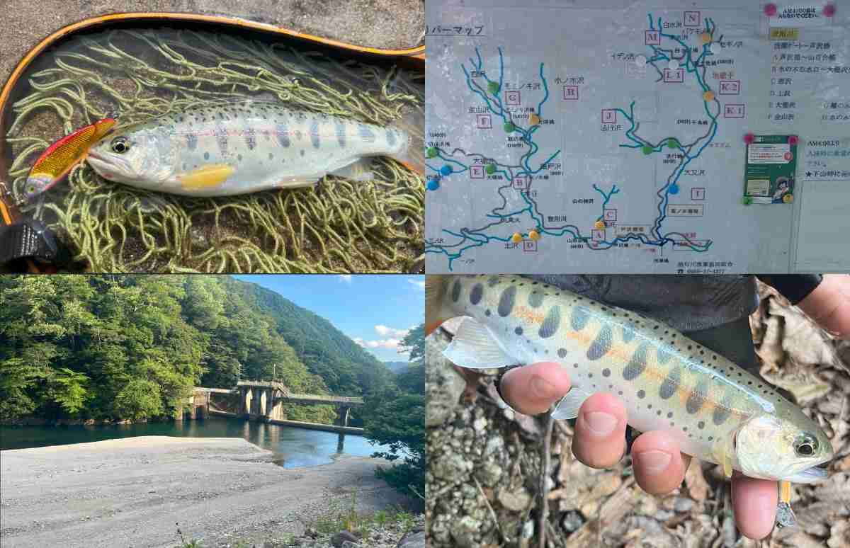昭和レトロ、清流、渓流、ヤマメ、イワナ、ヤマベ、ハヤ、餌釣り