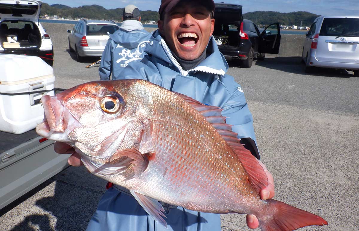 6kg超の大型も】コマセマダイ本番！水温下がってトップ2ケタと絶好調