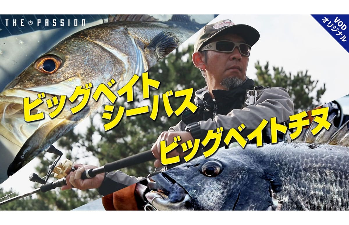 スイムベイト求道者〟衣川真吾が新たなターゲットに挑む | 釣り