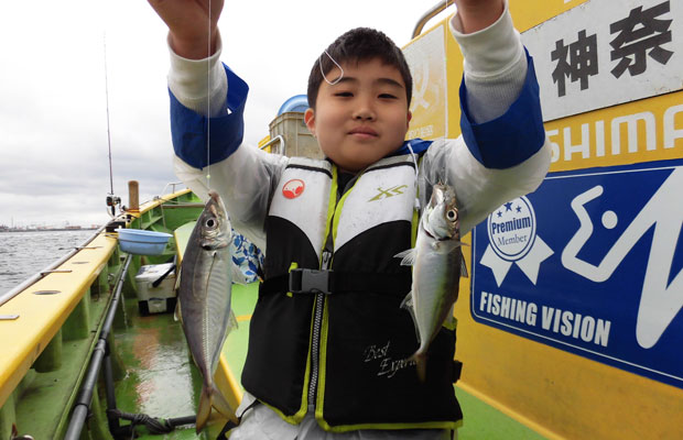 東京湾 横浜沖のブランド 金アジ をltで楽しもう 釣りビジョン マガジン 釣りビジョン