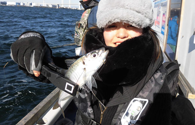 東京湾のアジをlt ライトタックル で徹底攻略 オフショアマガジン 釣りビジョン