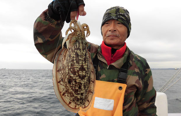 神奈川県 久里浜沖のスミイカ 寒さ吹き飛ばす大型続出 釣りビジョン マガジン 釣りビジョン