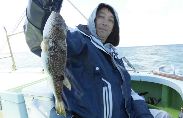 東京湾のフグ 白子たっぷりで至福の喜びを 釣りビジョン マガジン 釣りビジョン