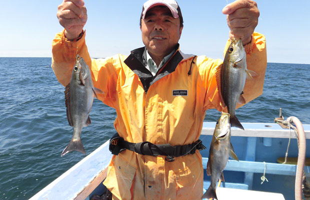 千葉県 大原沖の 梅雨イサキ 絶好調 釣りビジョン マガジン 釣りビジョン