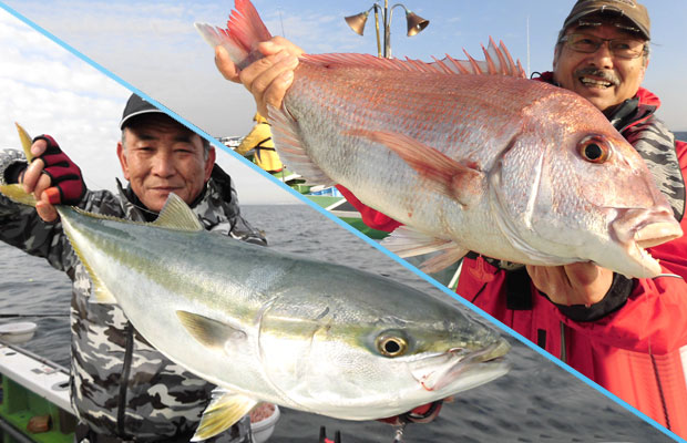 千葉県 内房 勝山港発のワラサ マダイ 今がチャンス オフショアマガジン 釣りビジョン 千葉県 内房 勝山港発のワラサ マダイ 今がチャンス オフショアマガジン 釣りビジョン