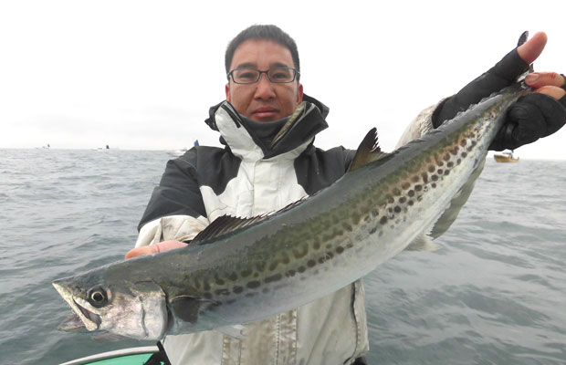 千葉県 長浦発 美味しい ルアー五目 が激アツ オフショアマガジン 釣りビジョン