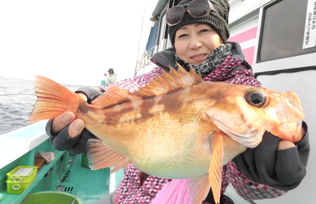 茨城県 日立沖に 抱卵沖メバル の春が来た オフショアマガジン 釣りビジョン