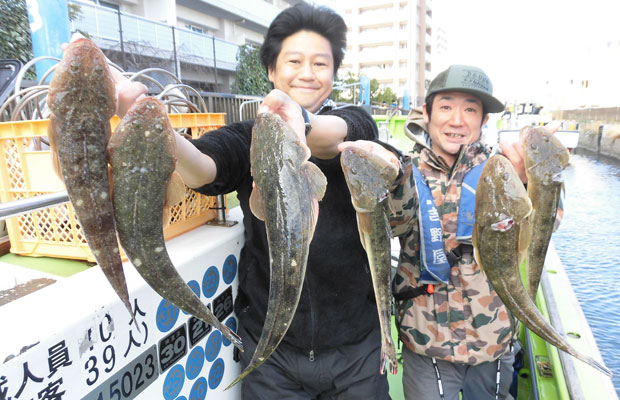 東京湾 江戸前のマゴチ 生きエビ餌で好調に開幕 釣りビジョン マガジン 釣りビジョン
