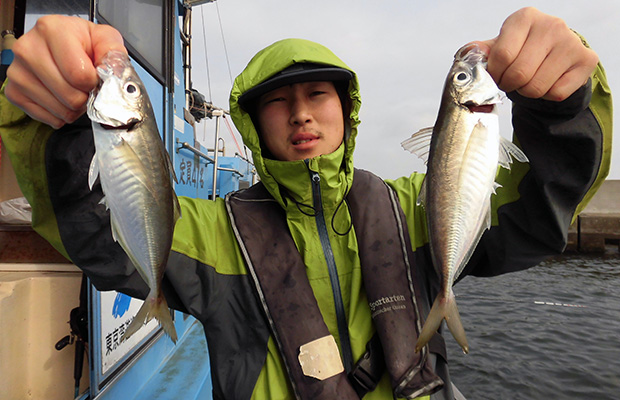 東京湾のltアジが春爛漫 束 100匹 超えの大爆釣 釣りビジョン マガジン 釣りビジョン