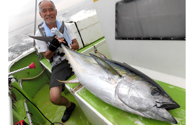 キハダマグロ等道具セット