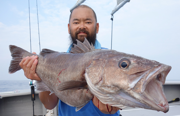 新潟県 佐渡沖で幻の魚 大アラ 7 2kgが浮上 オフショアマガジン 釣りビジョン