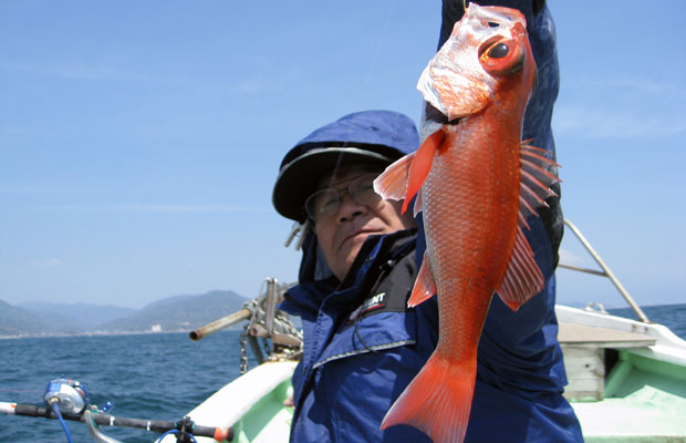 お手軽 簡単 静岡 清水沖の底物五目釣り 釣りビジョン マガジン 釣りビジョン