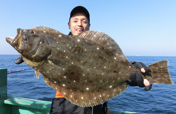 茨城県 鹿島沖のヒラメ解禁 今年は中 大型が好調だ 釣りビジョン マガジン 釣りビジョン