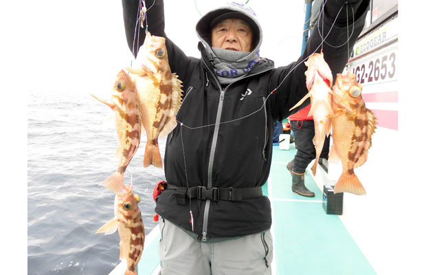 茨城県・日立沖の沖メバル、いよいよ本格始動！