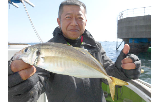 東京湾のブランド・アジ、LT（ライトタックル）で連日好調！！ 