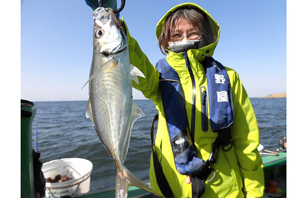 東京湾のlt ライトタックル アジ 安定の好釣果 釣りビジョン マガジン 釣りビジョン