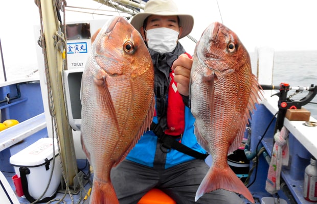 東京湾口 剣崎沖 乗っ込みマダイ 数 型とも絶好調 釣りビジョン マガジン 釣りビジョン