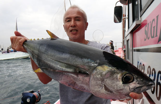 駿河湾 西伊豆沖 本ガツオ キメジ大漁で早上がり 釣りビジョン マガジン 釣りビジョン