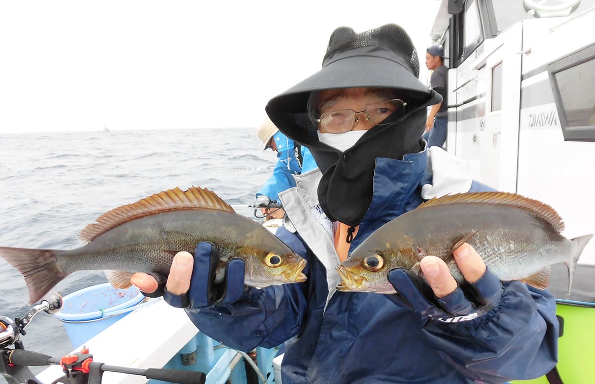 千葉県・大原沖のイサキ!“スペシャルゲスト”交じり絶好調!!