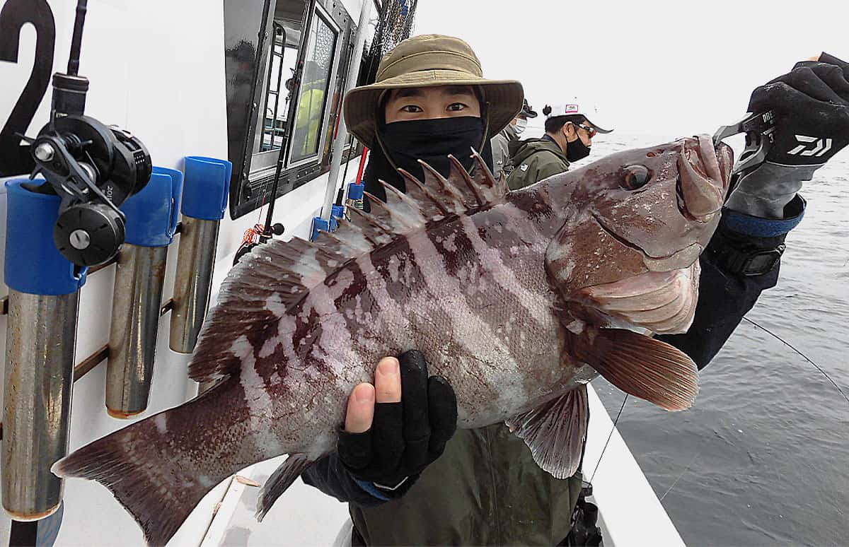 千葉県 大原沖で良型マハタが絶好調 釣りビジョン マガジン 釣りビジョン