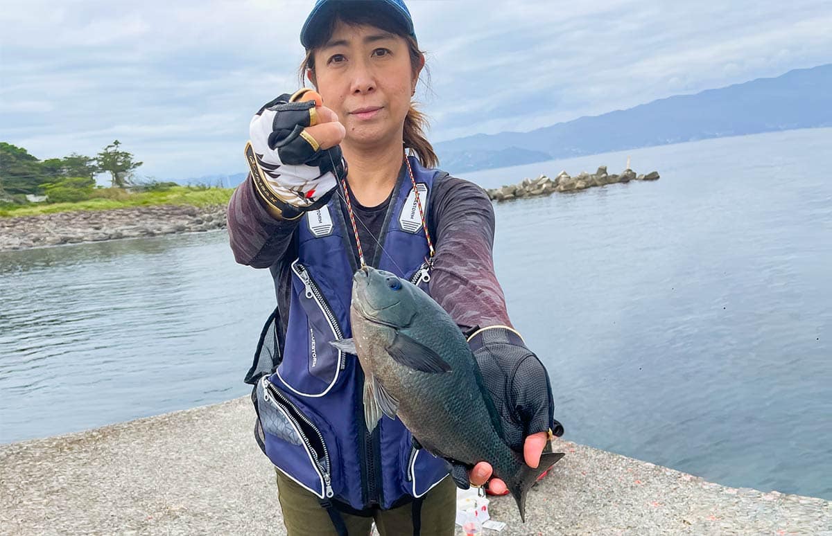 静岡県 初島 フカセで狙うメジナ釣り イシダイも 釣りビジョン マガジン 釣りビジョン