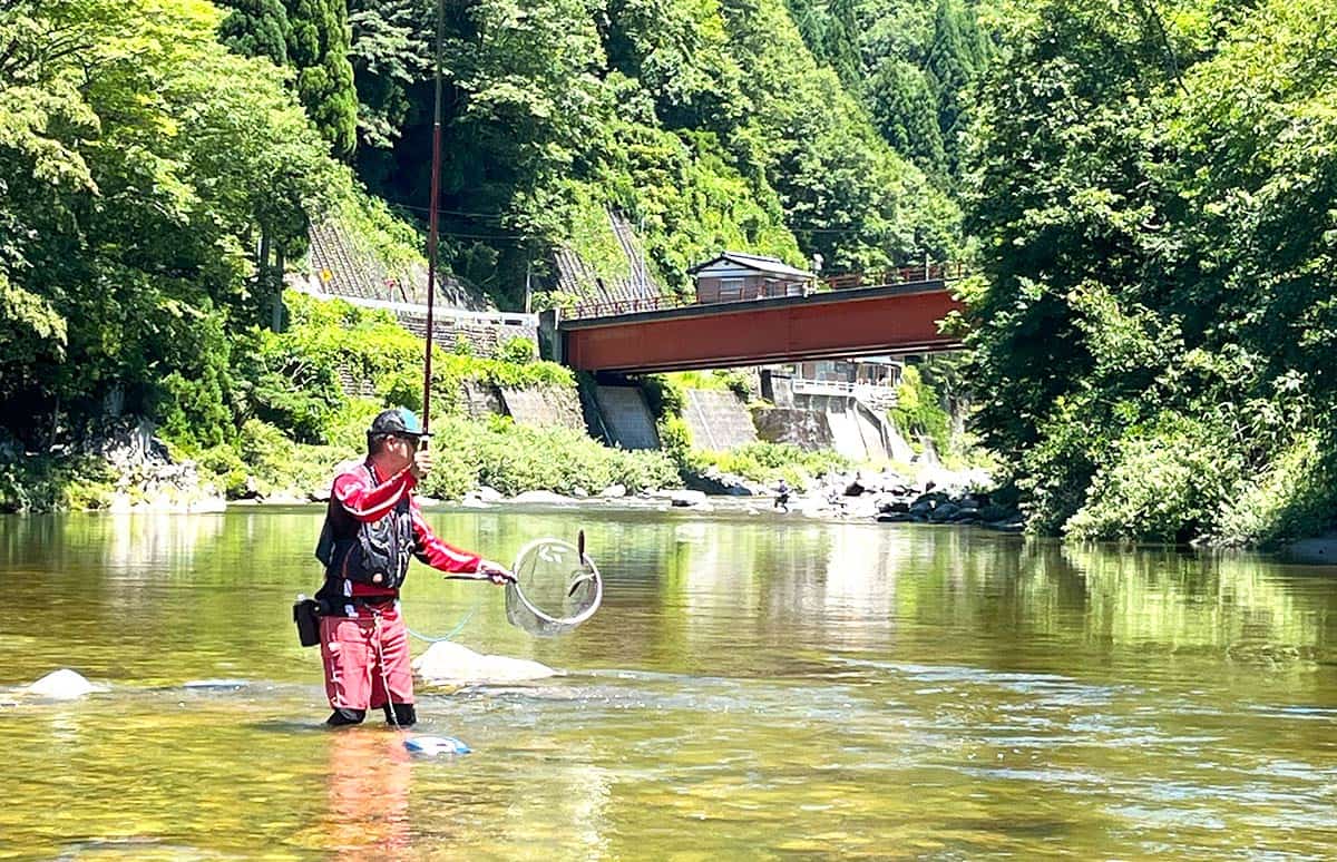 岐阜県 高原川支流 奥飛騨の秘境 双六渓谷 でアユを釣る 釣りビジョン マガジン 釣りビジョン 岐阜県 高原川支流 奥飛騨の秘境 双六渓谷 でアユを釣る 釣りビジョン マガジン 釣りビジョン