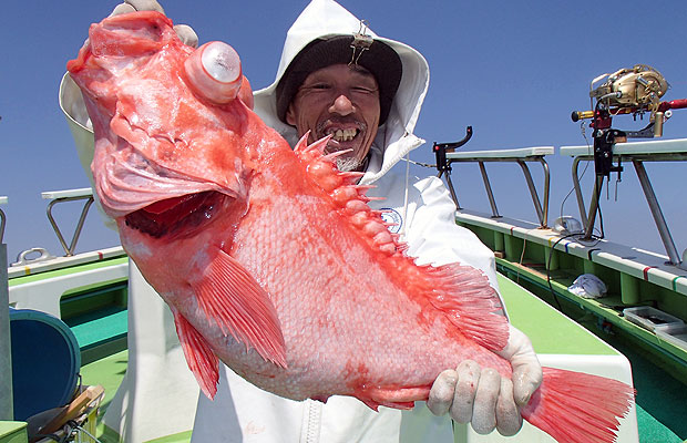 千葉県 銚子沖 深場の超高級魚 メヌケ好調 オフショアマガジン 釣りビジョン