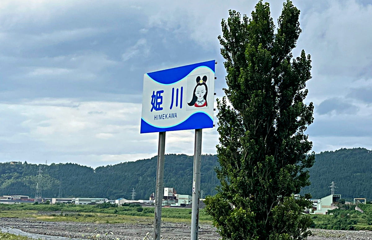 511_main