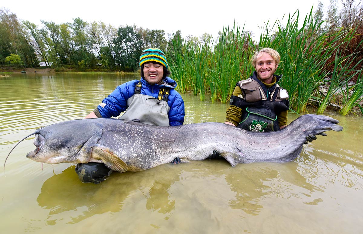 イヌもハトも喰う この巨大魚の名は 世界怪魚図鑑01 釣りビジョン マガジン 釣りビジョン