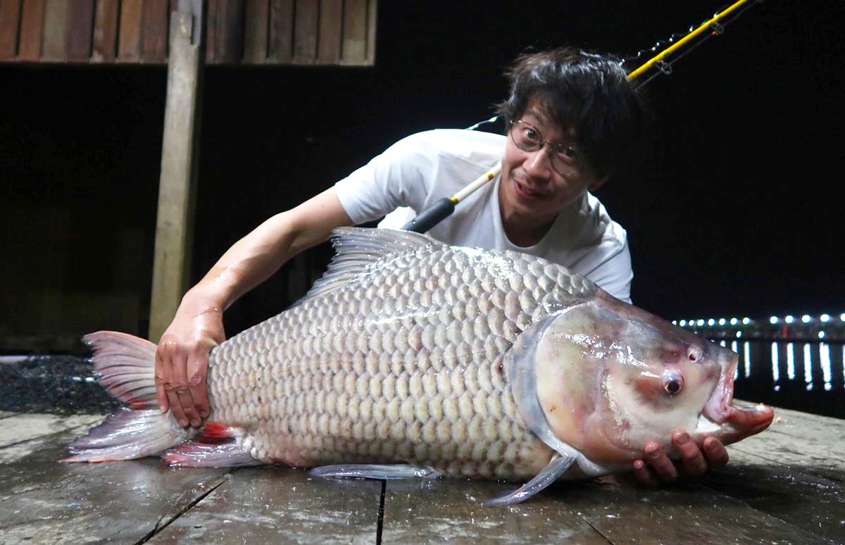 体長3m、体重300kg超！ 世界最大のコイの名は？【世界怪魚図鑑14