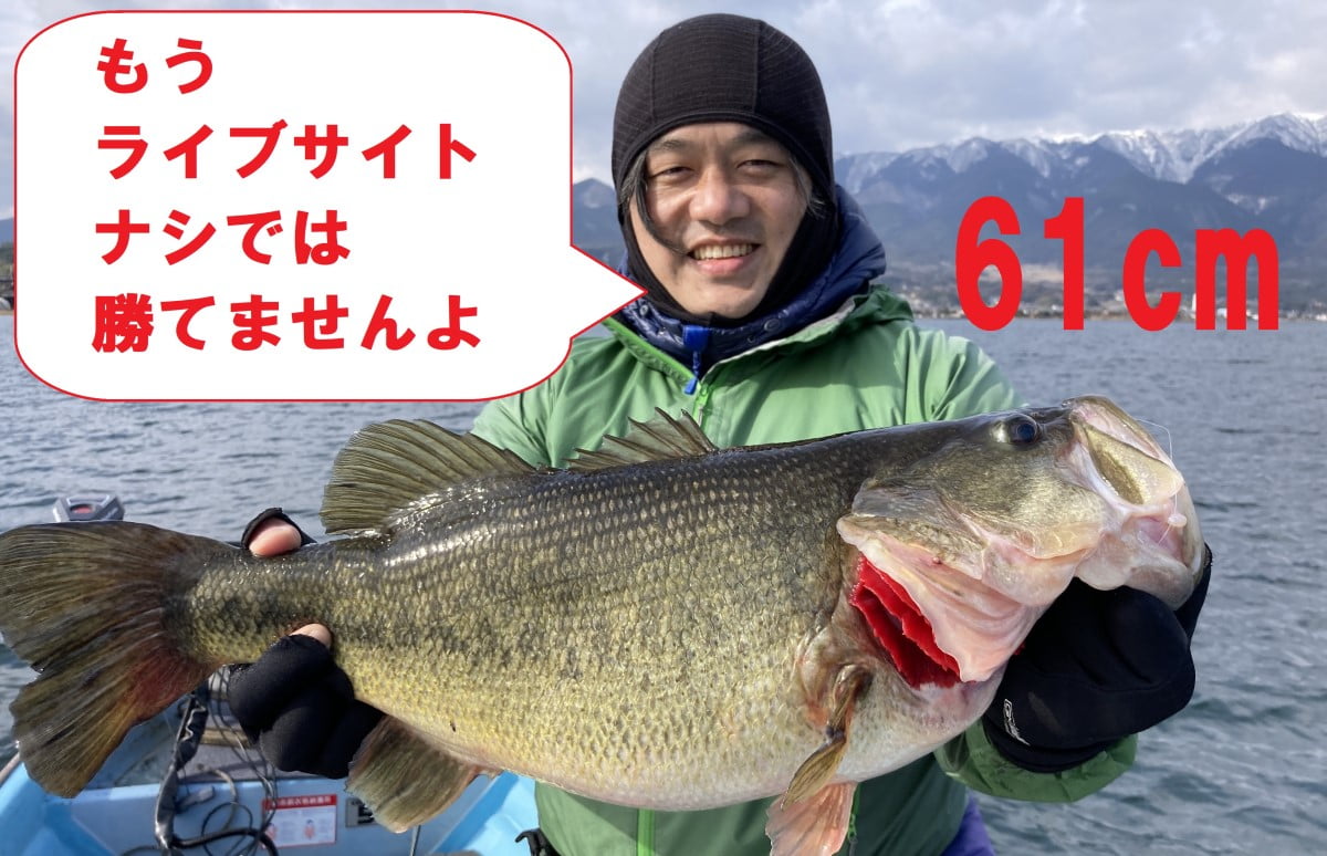 水中丸見え》誰も明かそうとしない、ライブサイトのやり方とは