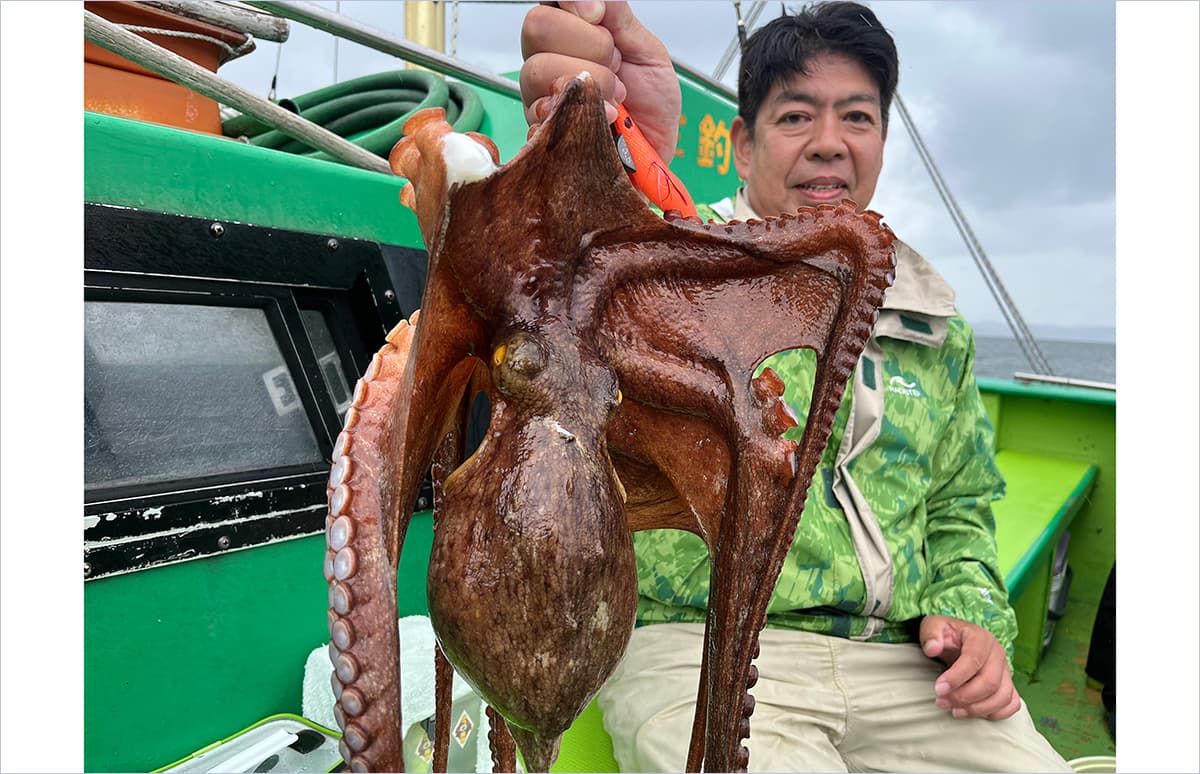 東京湾のマダコ「安心してください、釣れてますよ！」 | 釣りビジョン
