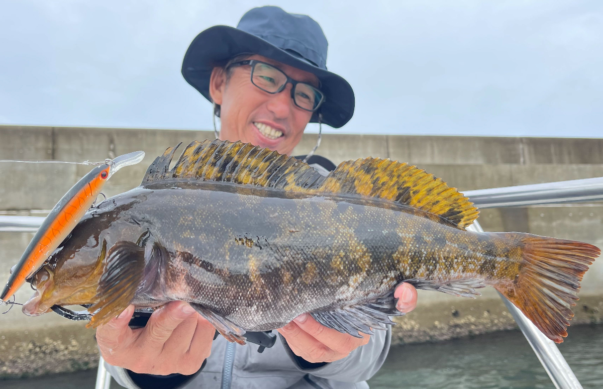 ★1円～廃盤！バス！ロックフィッシュ！シーバス等に！基本性能充実！DAIWA FUEGO ダイワ フエゴ CT103HL 左ハンドル 新品  冬のシーバス釣りは夜磯からの砂浜サーフで意外な場所でエラ洗い