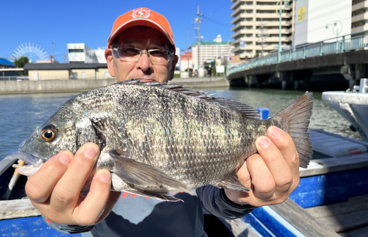 ダンゴ釣り初挑戦！「クロダイかかり釣り体験コース」やってみた！静岡