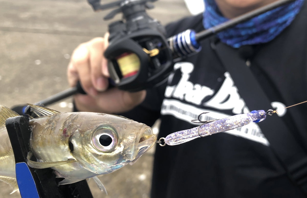 Blue Current アジングロッド　ベイト・スピニング2本セット Blue Current アジングロッド ベイト・スピニング2本セット Amazon