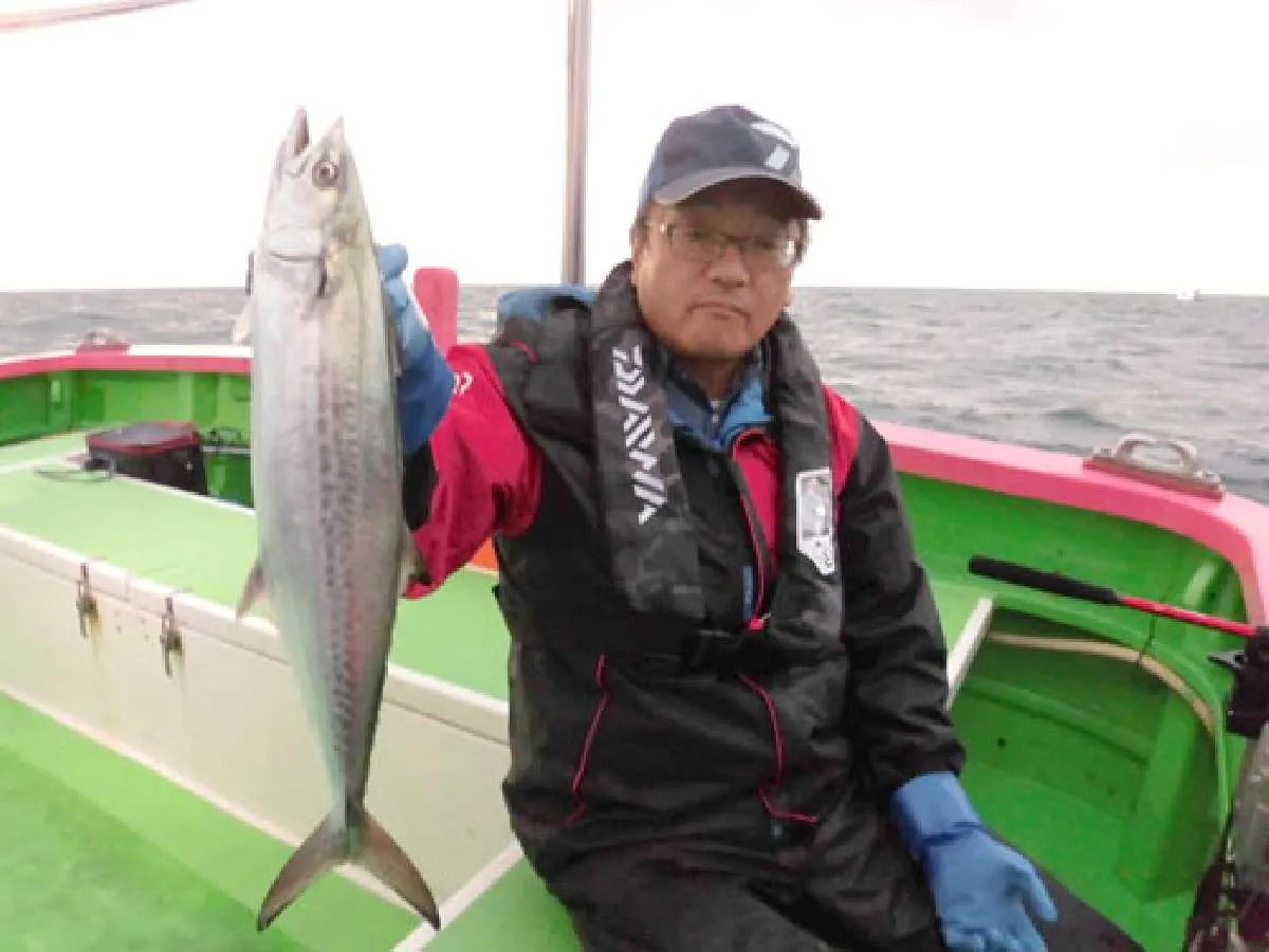 いきなりサゴシ（サワラの幼魚）が食いました