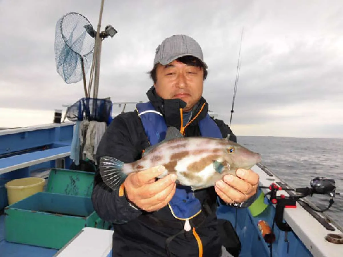 ウマヅラハギ　池端さん