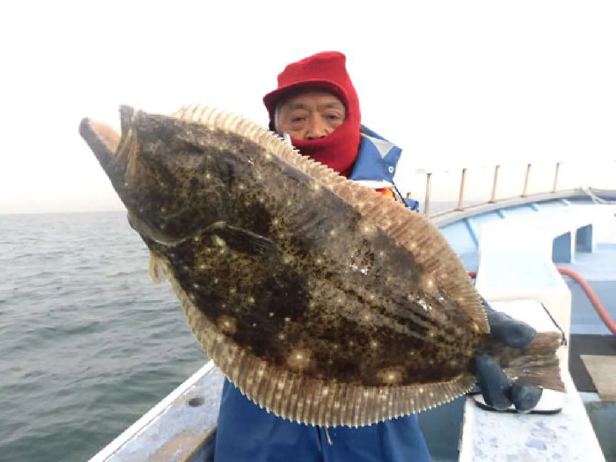 浅場で釣れる魚は良型揃い