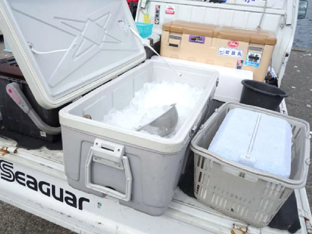 下船後に氷を貰える