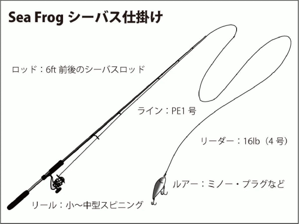 仕掛け図（シーバス）