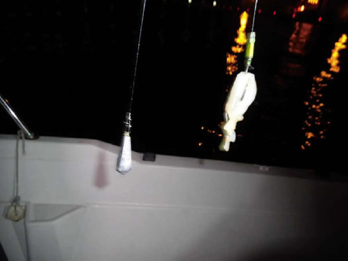 クロアナゴの餌釣りは胴突き1本バリ仕掛けで