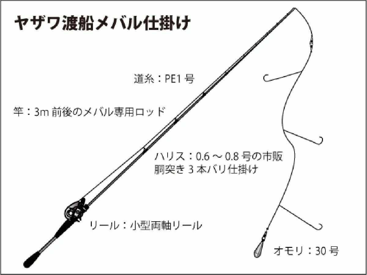 仕掛け図（シラサエビの胴突き仕掛け）