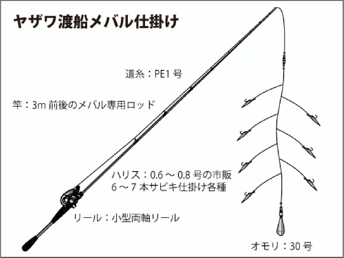 仕掛け図（サビキ仕掛け）